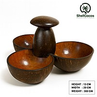 3 in 1 Serving Bowl with Spoon