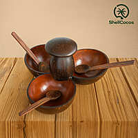 3 in 1 Serving Bowl with Spoon