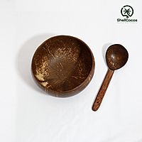 Shell Bowl 400-500 ML